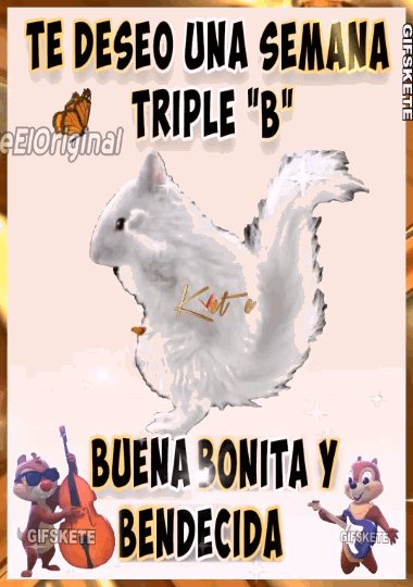 Feliz inicio de semana