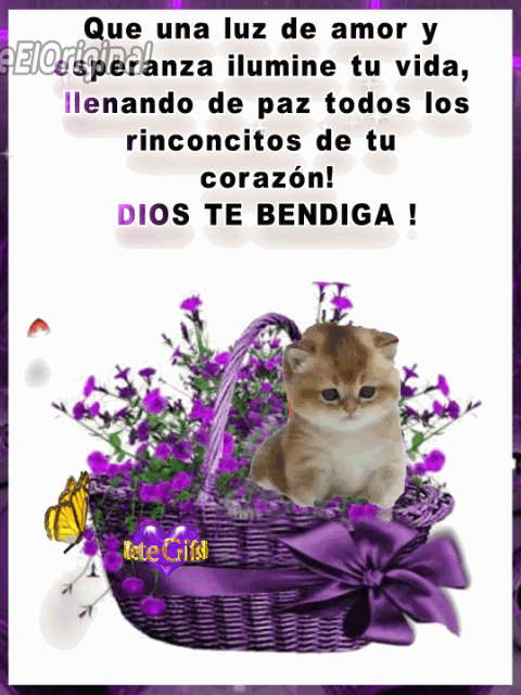 Hazlo ahora.. porque algunas veces el" después "se convierte en "nunca" Linda tarde! Buenas tardes 