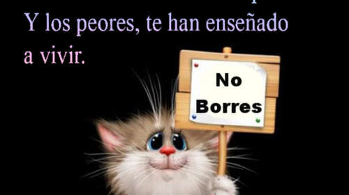 No borres ningún día de tu vida | Gifs-Kete